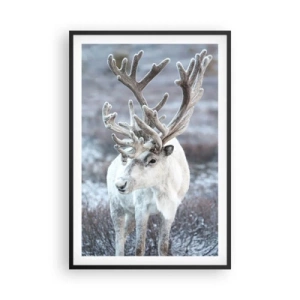 Plakat w czarnej ramie - Portret w słońcu - 61x91 cm