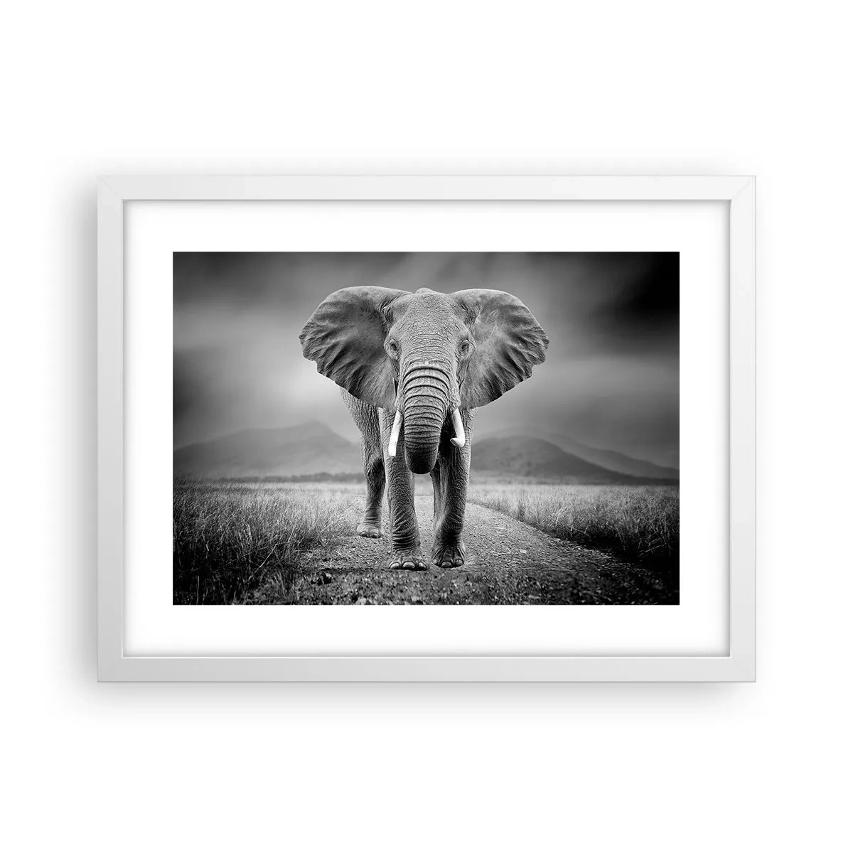 Plakat w białej ramie - Gospodarz wita - 40x30 cm