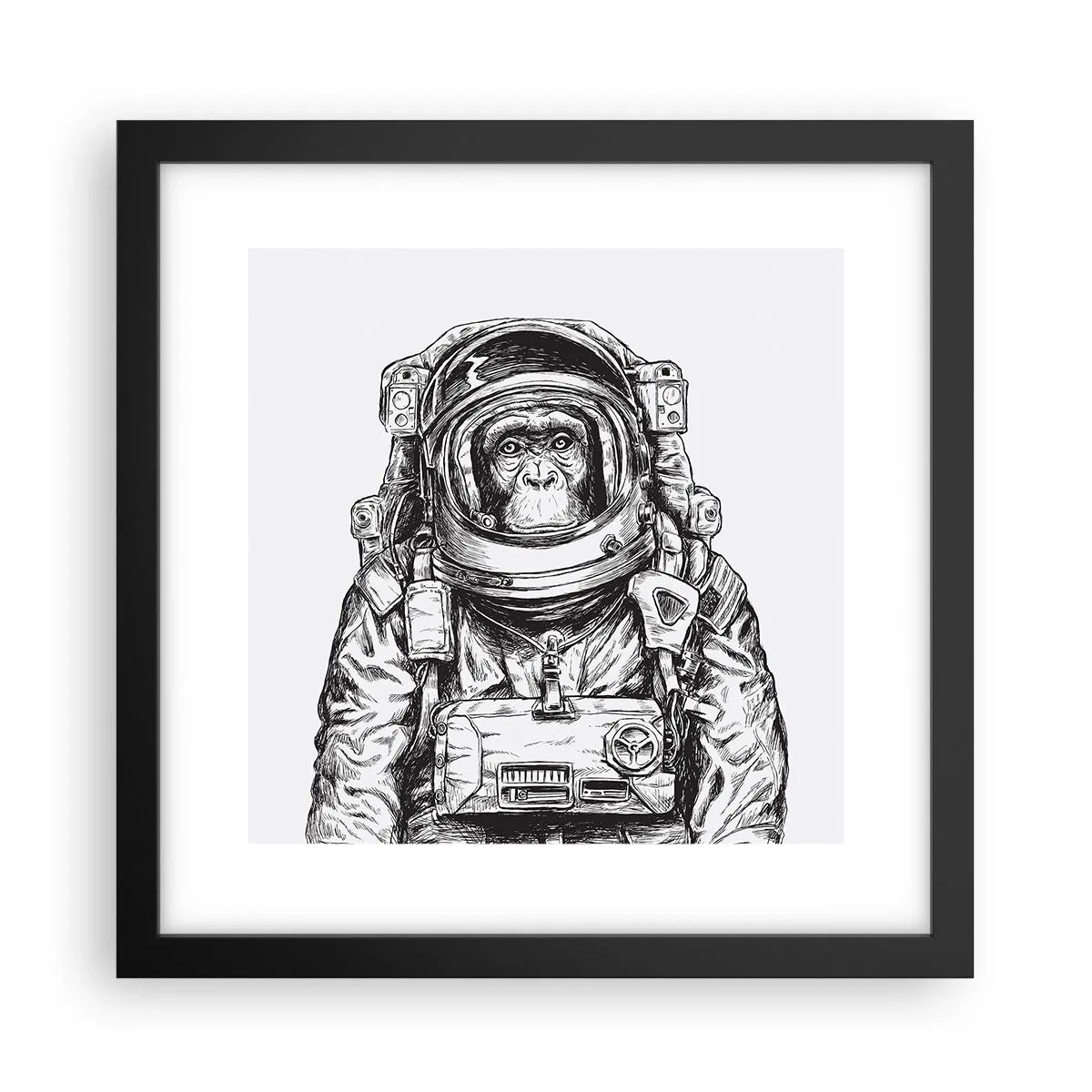 Plakat w czarnej ramie - Alternatywna ewolucja - 30x30 cm