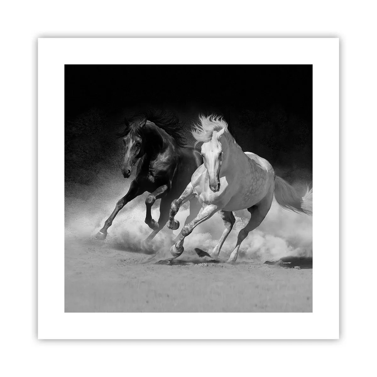 Plakat - Galop wolności - 40x40 cm