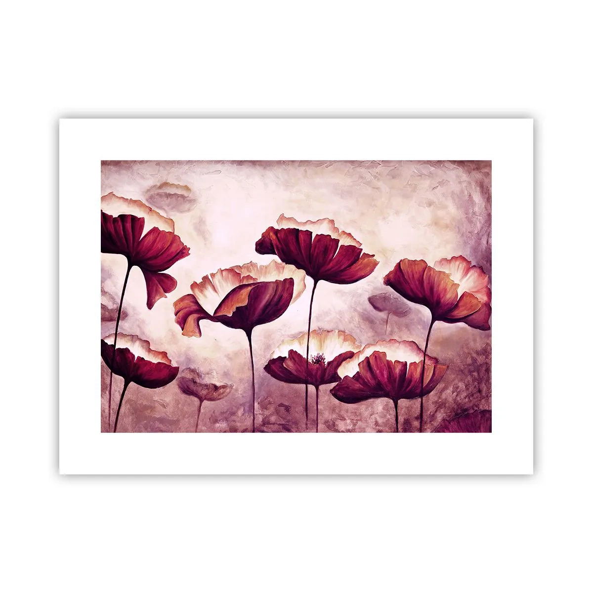 Plakat - Płatek czerwony i biały - 40x30 cm