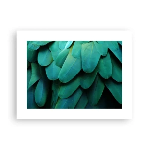 Plakat - Precyzja papuziej natury - 40x30 cm