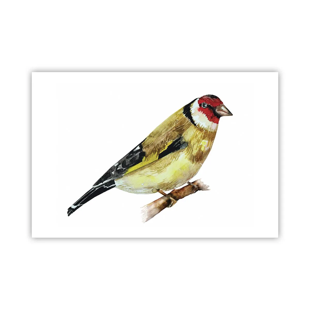 Plakat - Ptasi portret - 91x61 cm