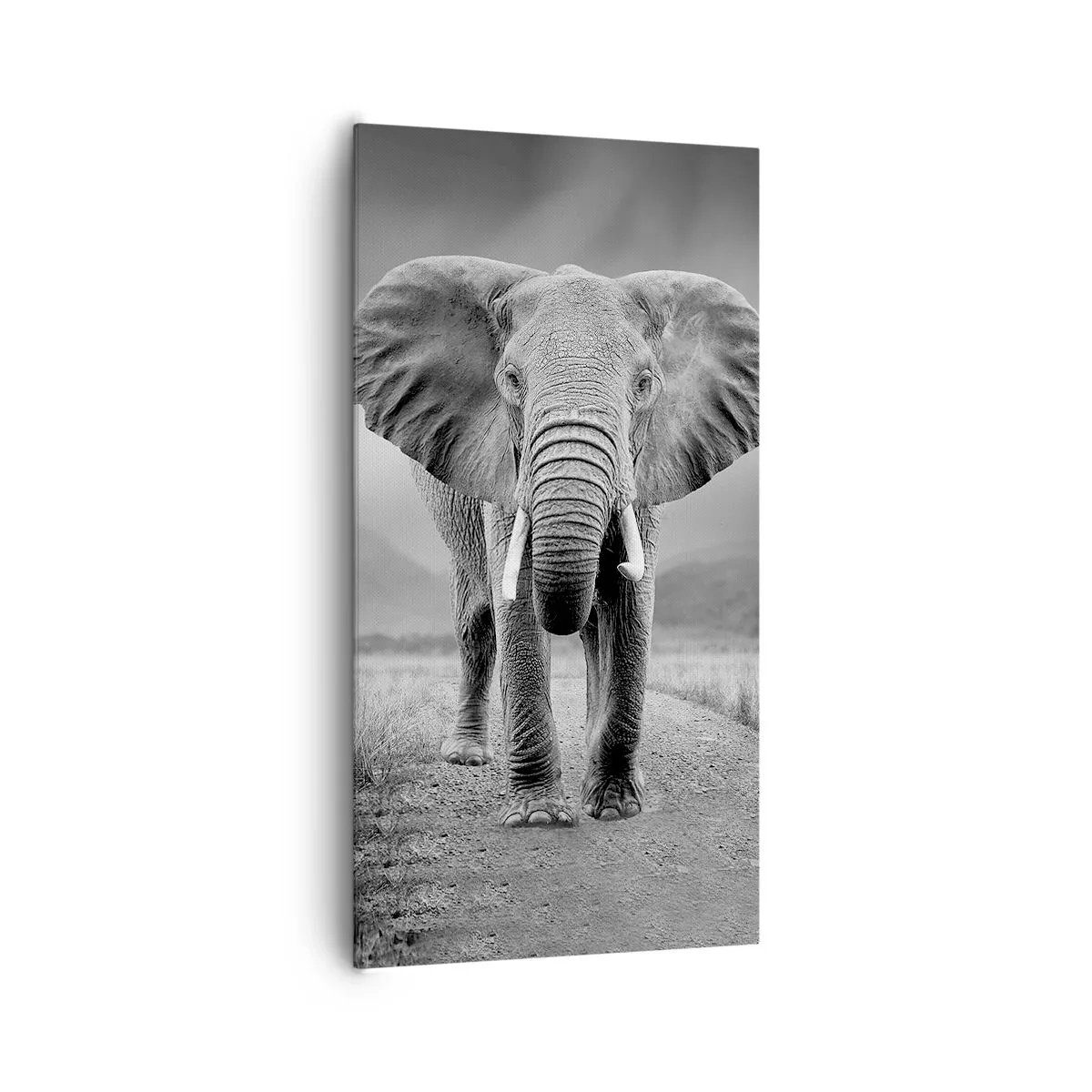 Obraz na płótnie - Gospodarz wita - 65x120 cm