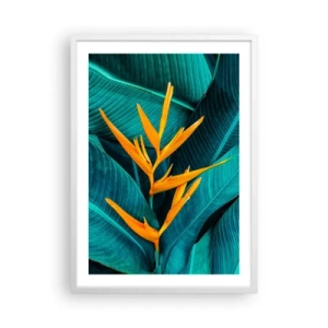 Plakat w białej ramie - Kwiat Edenu - 50x70 cm