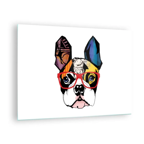 Obraz na szkle - Bulldog w kolorowych okularach na białym tle - 70x50cm - Intelektualista - Nowoczesna dekoracja ścienna do salonu i sypialni ARTTOR