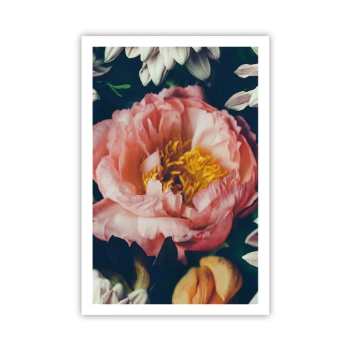 Plakat - Z barokowym przepychem - 61x91 cm