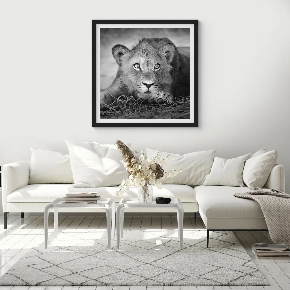 Plakat w czarnej ramie - Królewskie szczenię - 60x60 cm