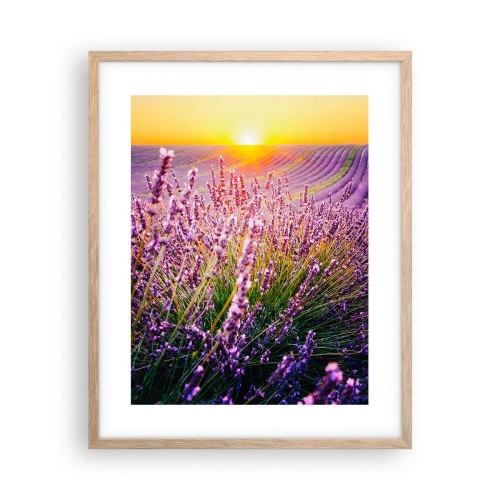Plakat w ramie jasny dąb - Pachnący łan - 40x50 cm