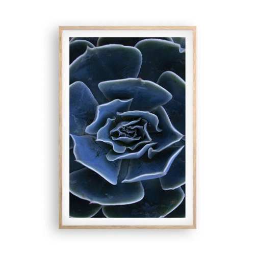 Plakat w ramie jasny dąb - Kwiat pustyni - 61x91 cm