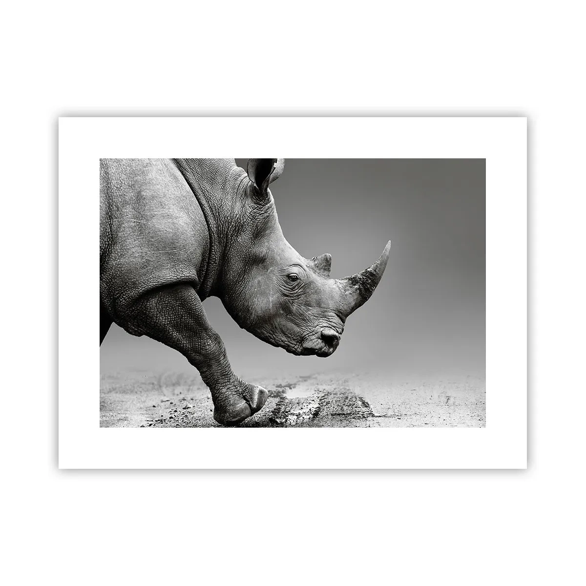 Plakat - Niepowstrzymana siła - 40x30 cm