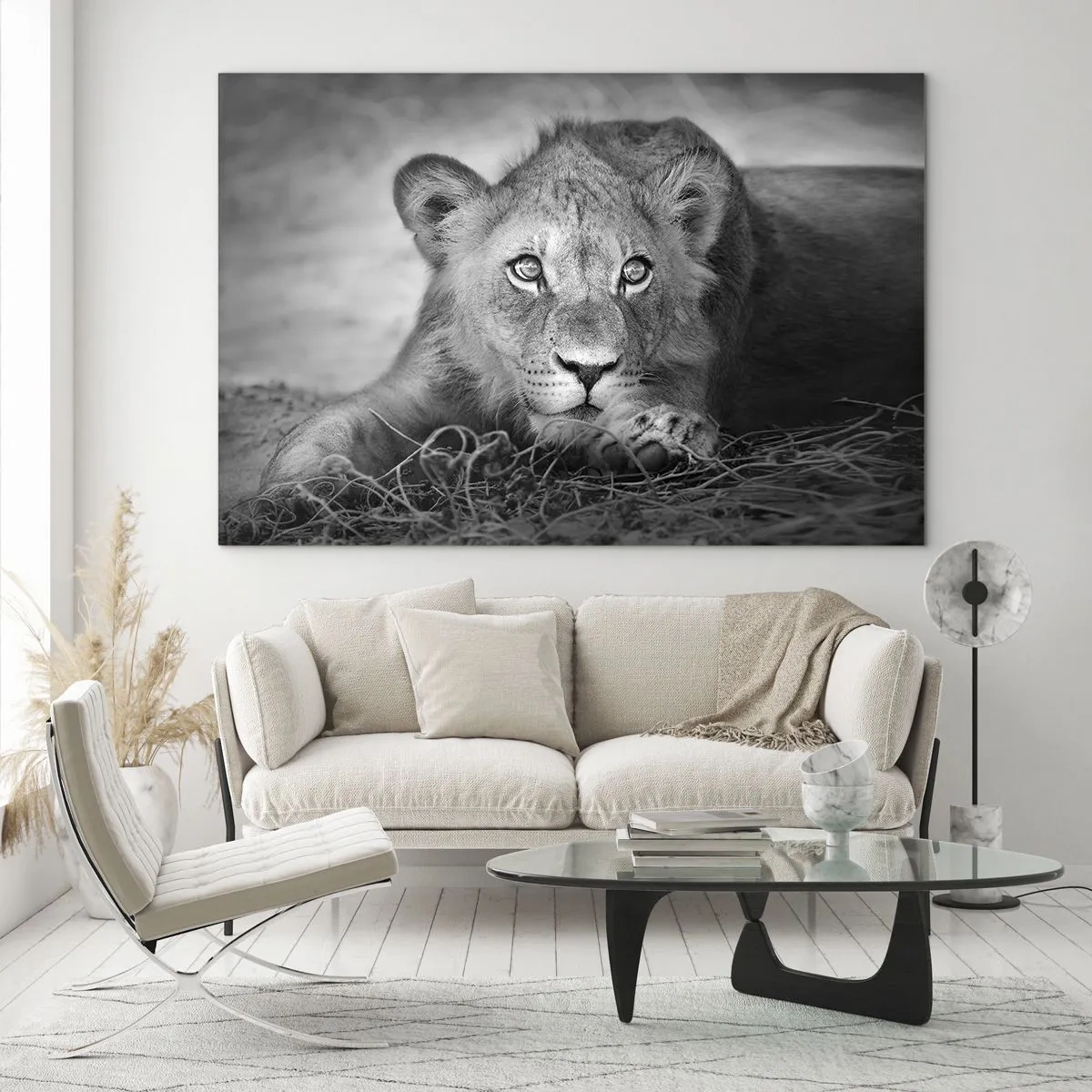 Obraz na szkle - Lwiątko w czerni i bieli wpatrzone w obiektyw - 70x50cm - Królewskie szczenię - Nowoczesna dekoracja ścienna do salonu i sypialni ARTTOR