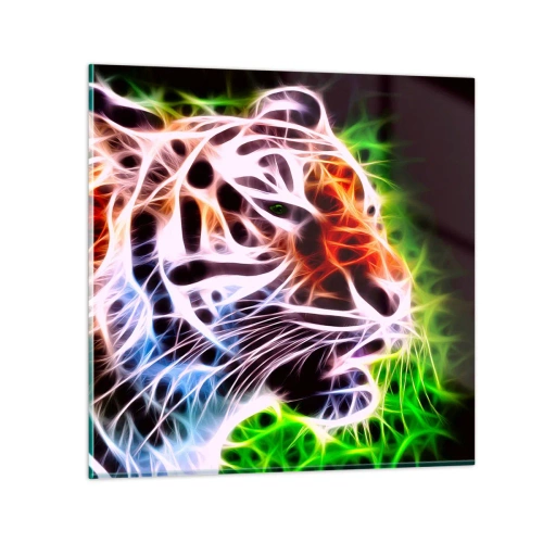 Obraz na szkle - Groźna aura - 70x70 cm