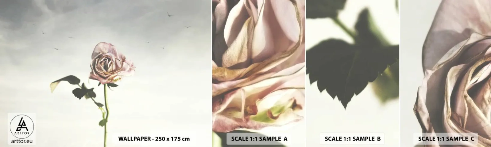 Fototapeta Próbka Samoprzylepna Deluxe Sticker - Powitanie wiosny - Róża, Kwiat, Sztuka - 100x30 cm