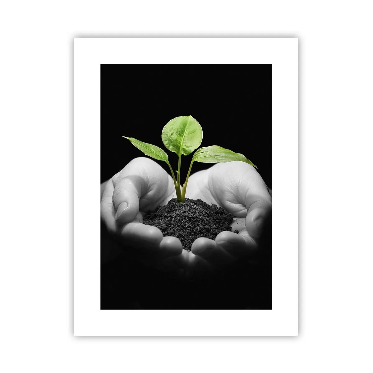 Plakat - Kocham naturę, chronię ją - 30x40 cm