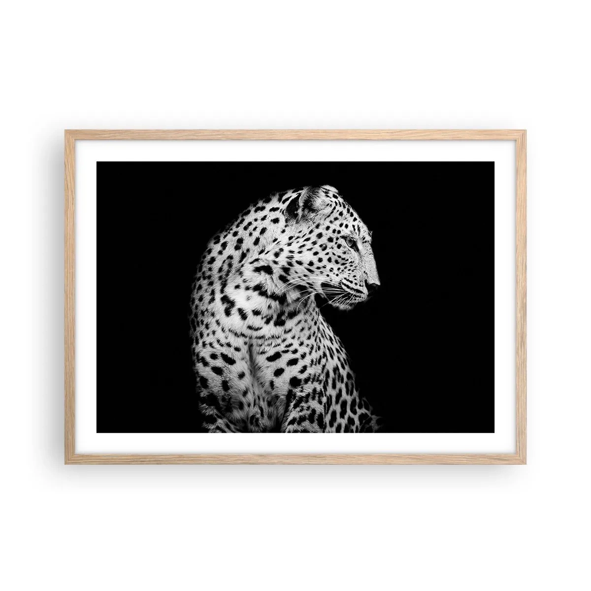 Plakat w ramie jasny dąb - Prawy profil doskonały! - 70x50 cm