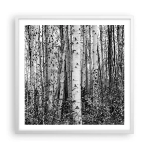 Plakat w białej ramie - Brzozowa kolumnada - 60x60 cm