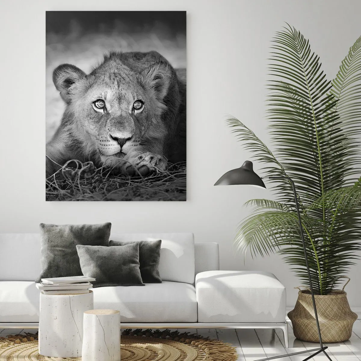 Obraz na szkle - Lwiątko w czerni i bieli wpatrzone w obiektyw - 50x70cm - Królewskie szczenię - Nowoczesna dekoracja ścienna do salonu, kuchni i sypialni ARTTOR