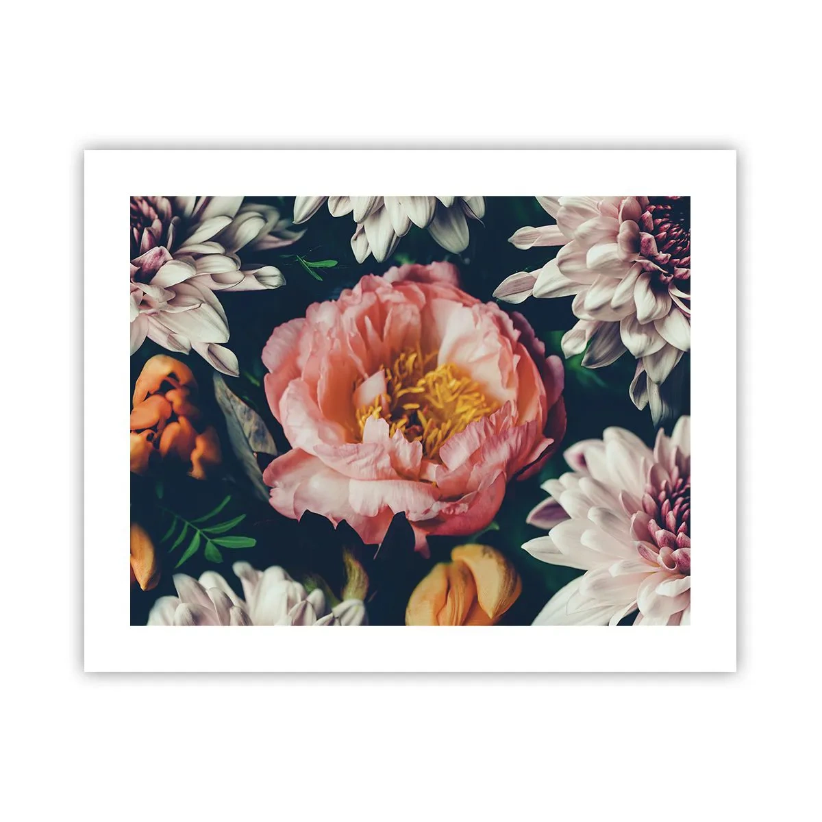 Plakat - Z barokowym przepychem - 50x40 cm