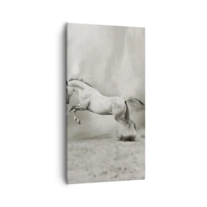 Obraz na płótnie - Między jawą a snem - 55x100 cm