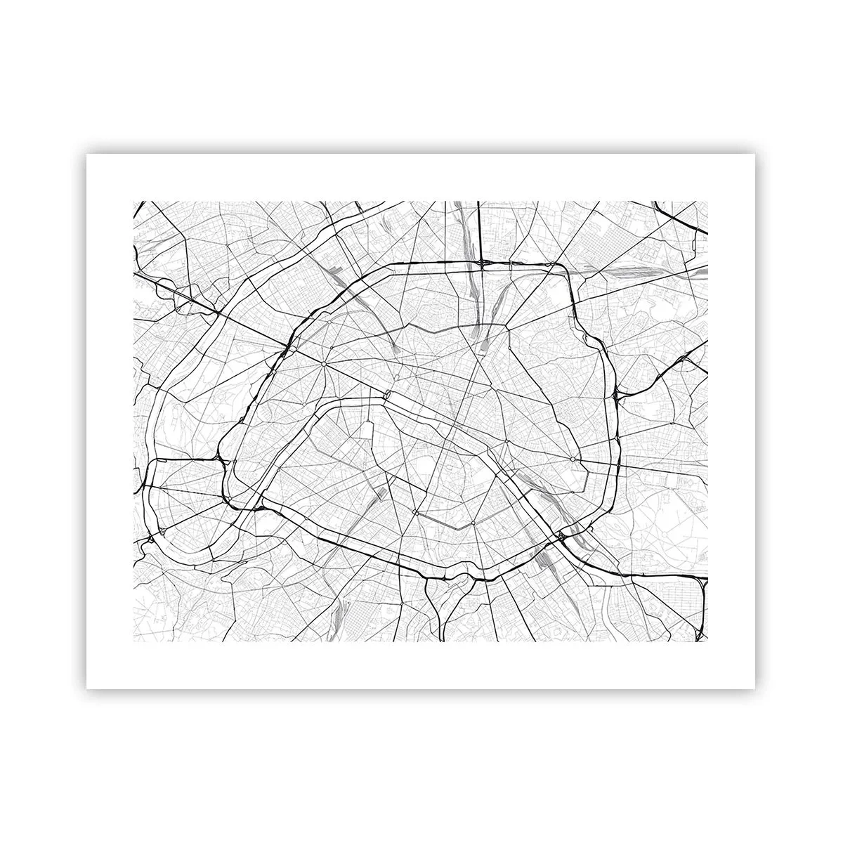 Plakat - Kwiat Paryża - 50x40 cm