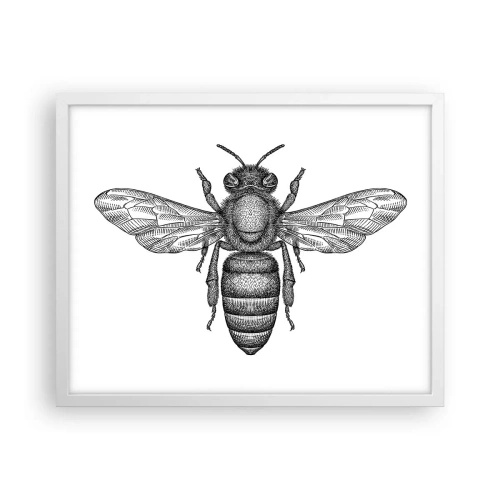 Plakat w białej ramie - Owadzi portret - 50x40 cm
