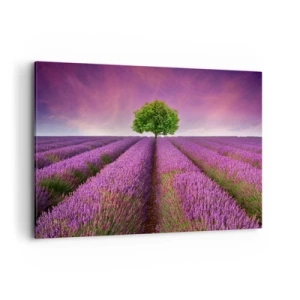 Obraz na płótnie - Pole lawendy z samotnym drzewem i fioletowym niebem - 120x80cm - Na lawendowych polach - Nowoczesna dekoracja ścienna do salonu, kuchni i sypialni ARTTOR