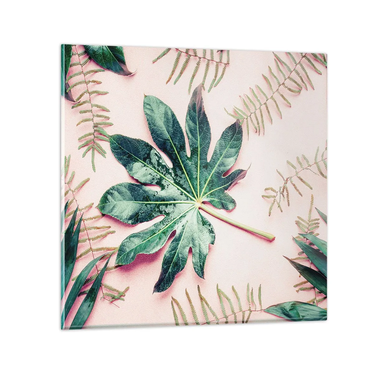 Obraz na szkle - Studium zieleni na różowym tle - 40x40 cm
