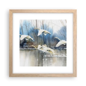 Plakat w ramie jasny dąb - Jak w baśni o dzikich łabędziach - 30x30 cm