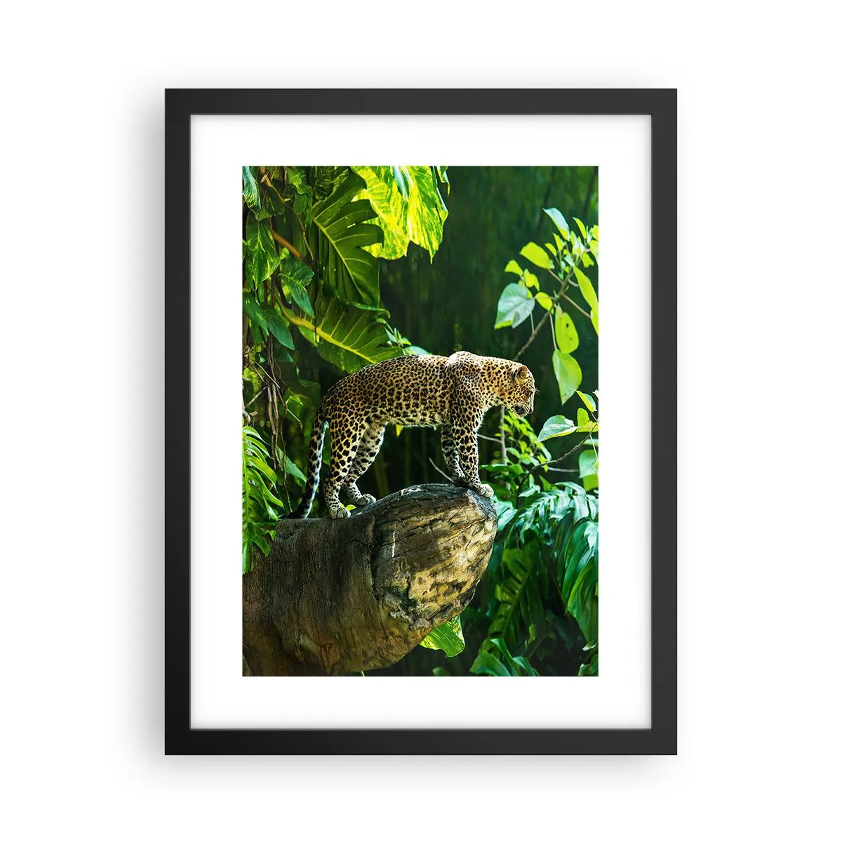 Plakat w czarnej ramie - Na łowy? - 30x40 cm