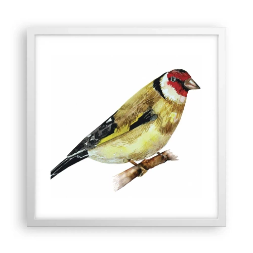Plakat w białej ramie - Ptasi portret - 40x40 cm