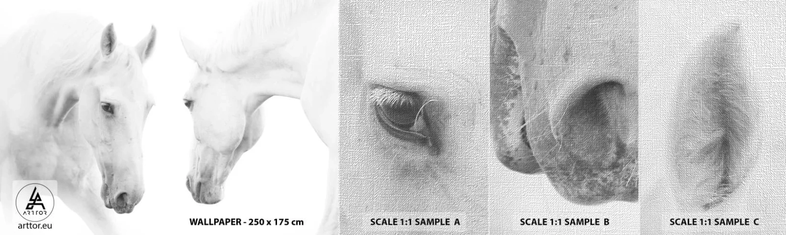 Fototapeta Próbka Premium Canvas - Czy to jest przyjaźń…? - Konie, Natura, Zwierzęta - 100x30 cm