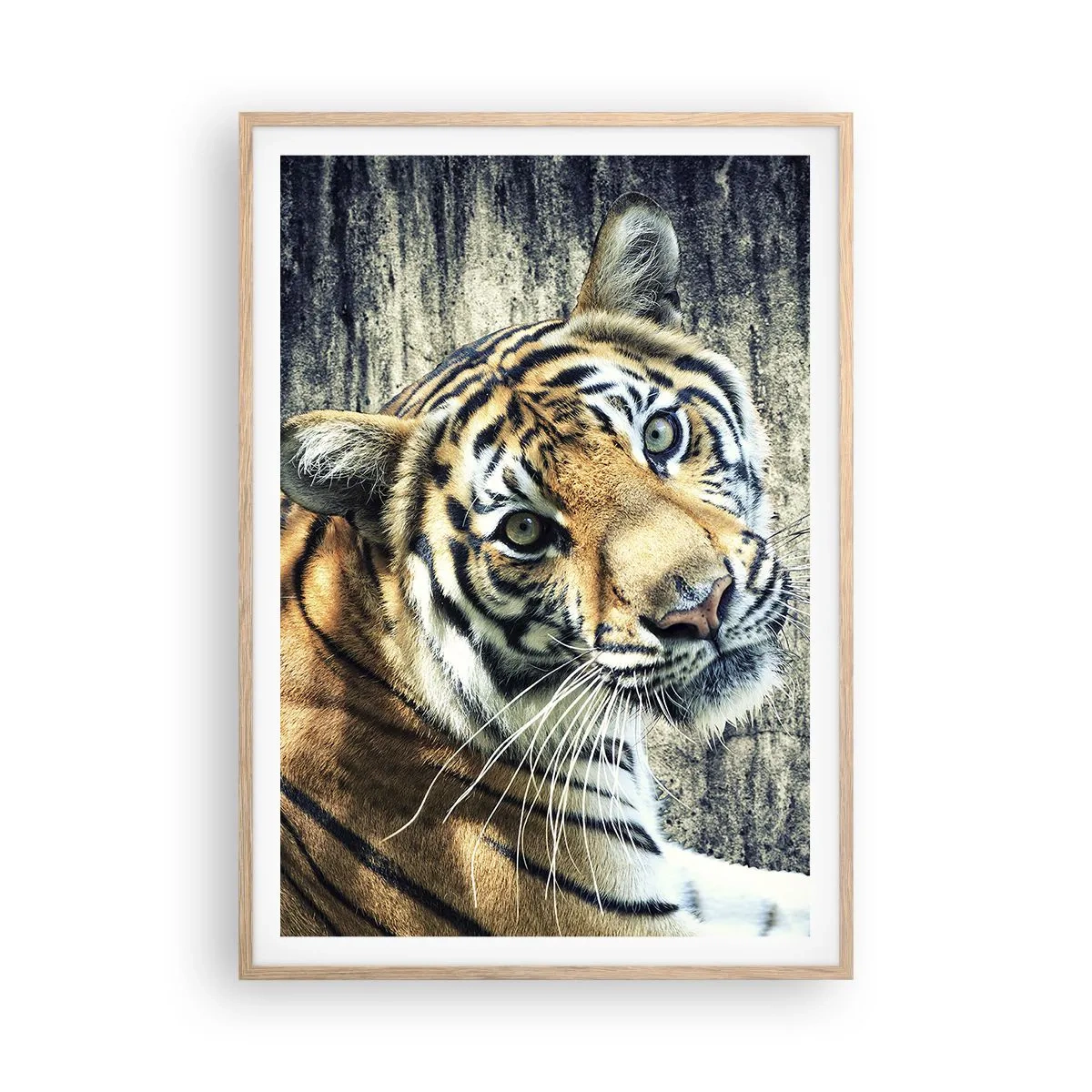 Plakat w ramie jasny dąb - Portret w strugach światła - 70x100 cm