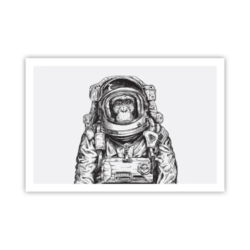 Plakat - Alternatywna ewolucja - 91x61 cm