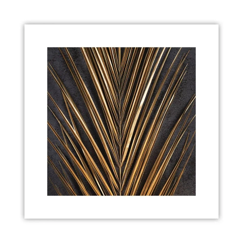 Plakat - Złoto tropików - 30x30 cm