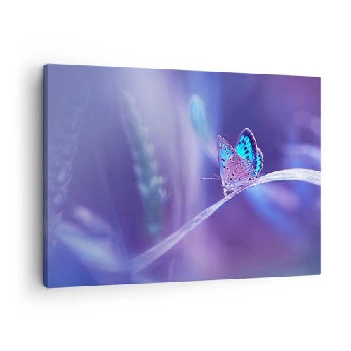 Obraz na płótnie - Delikatny niebieski motyl na łodydze w świetle fioletowym - 70x50cm - Klejnot natury - Nowoczesna dekoracja ścienna do salonu i sypialni ARTTOR