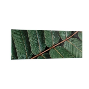 Obraz na szkle - Zielone liście z kroplami rosy w makro ujęciu - 140x50cm - W zielonym rytmie - Nowoczesna dekoracja ścienna do salonu i sypialni ARTTOR