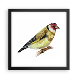 Plakat w czarnej ramie - Ptasi portret - 30x30 cm