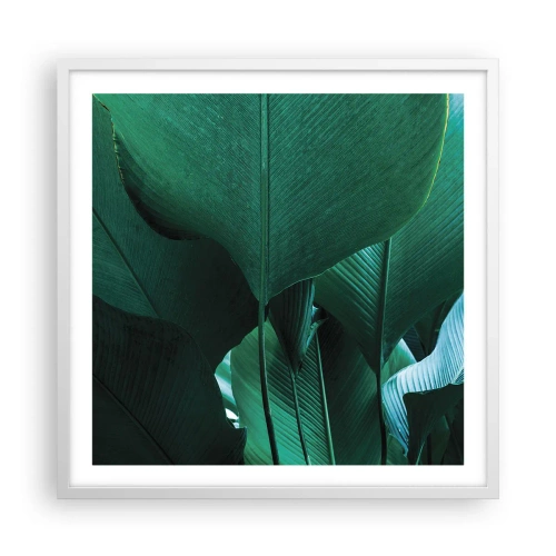 Plakat w białej ramie - Zwrócone do światła - 60x60 cm