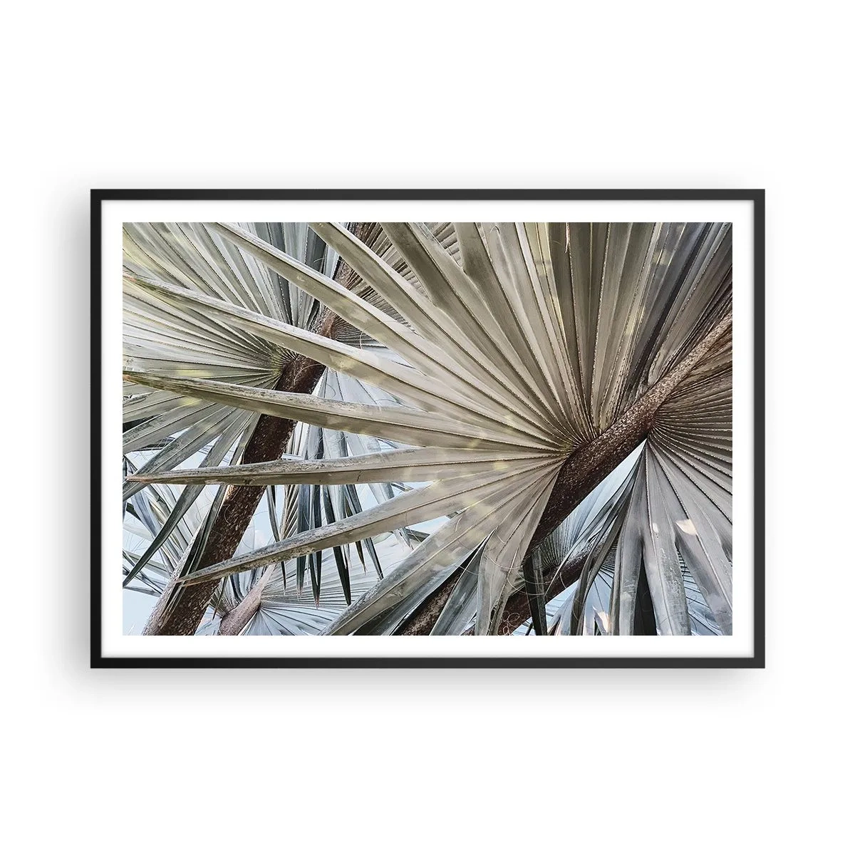 Plakat w czarnej ramie - Liście palmowe w naturalnych odcieniach zieleni na zbliżeniu - 100x70cm - Wachlarze w tropikach - Nowoczesna dekoracja ścienna do salonu i sypialni ARTTOR
