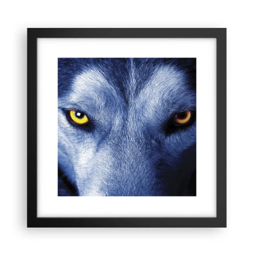Plakat w czarnej ramie - Hipnotyzujące spojrzenie - 30x30 cm