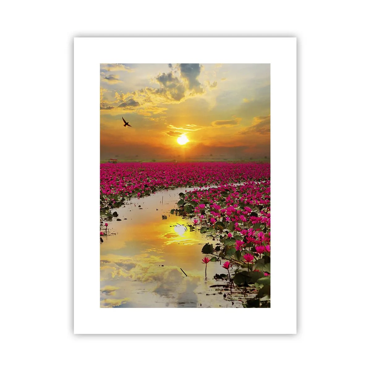 Plakat - Tajemne życie jeziora - 30x40 cm