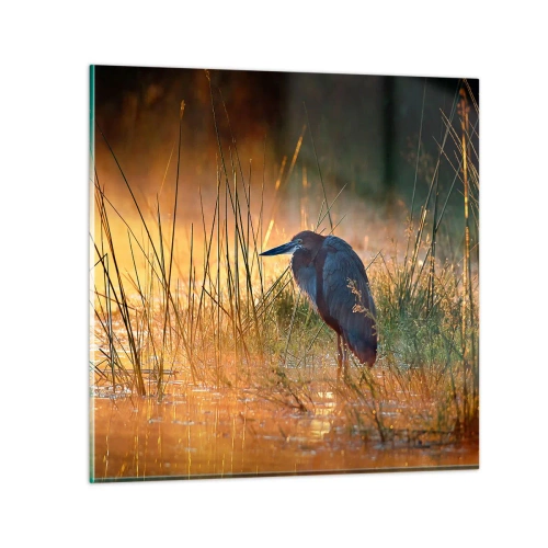 Obraz na szkle - No dajcie mi spokój z tymi zdjęciami - 60x60 cm