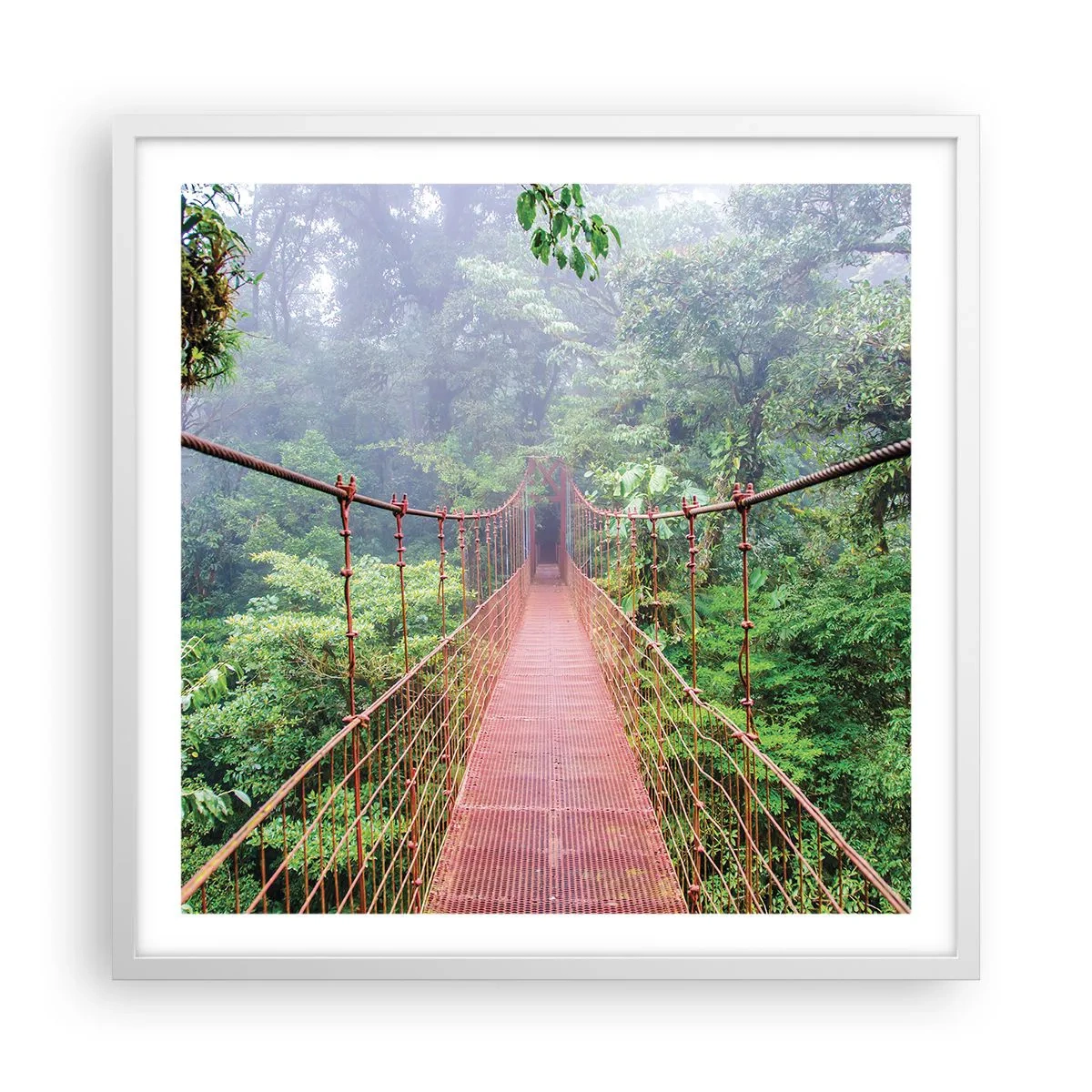 Plakat w białej ramie - Zawieszony nad koronami - 60x60 cm