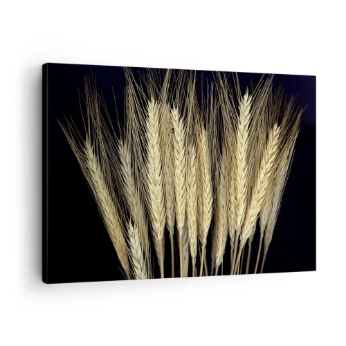 Obraz na płótnie - Kłosy pszenicy na czarnym tle w rustykalnym stylu - 70x50cm - Rustykalna magia - Nowoczesna dekoracja ścienna do salonu i sypialni ARTTOR