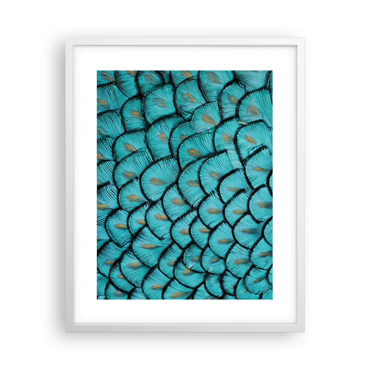 Plakat w białej ramie - Wielka gala piór - 40x50 cm