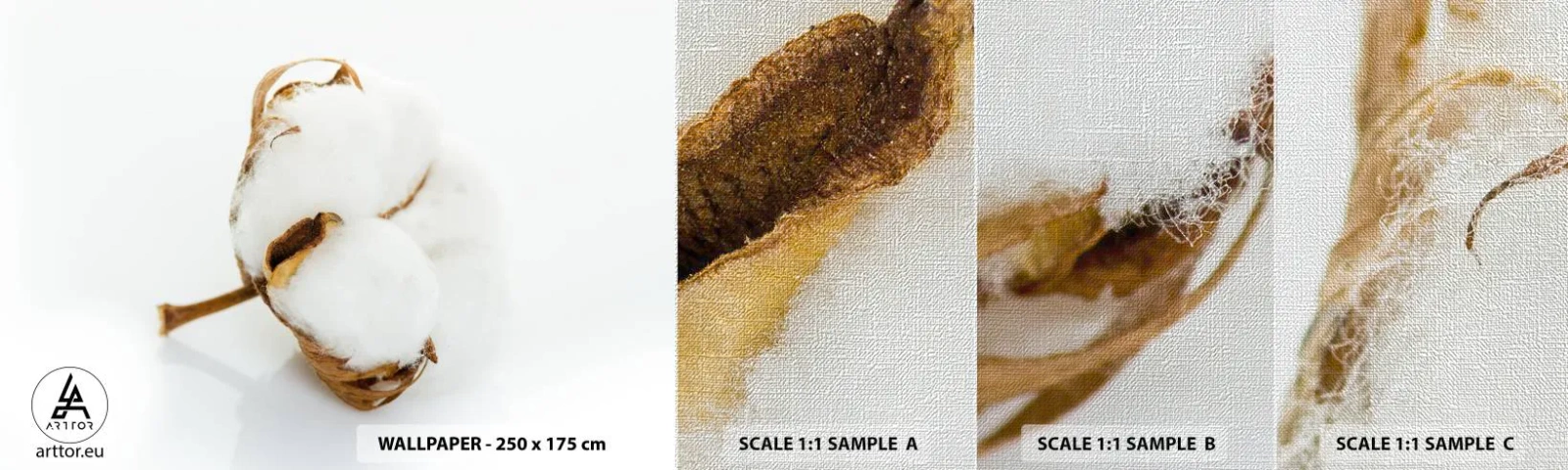 Fototapeta Próbka Premium Canvas - Miękka z natury - Bawełna, Minimalistyczny, Kwiat - 100x30 cm