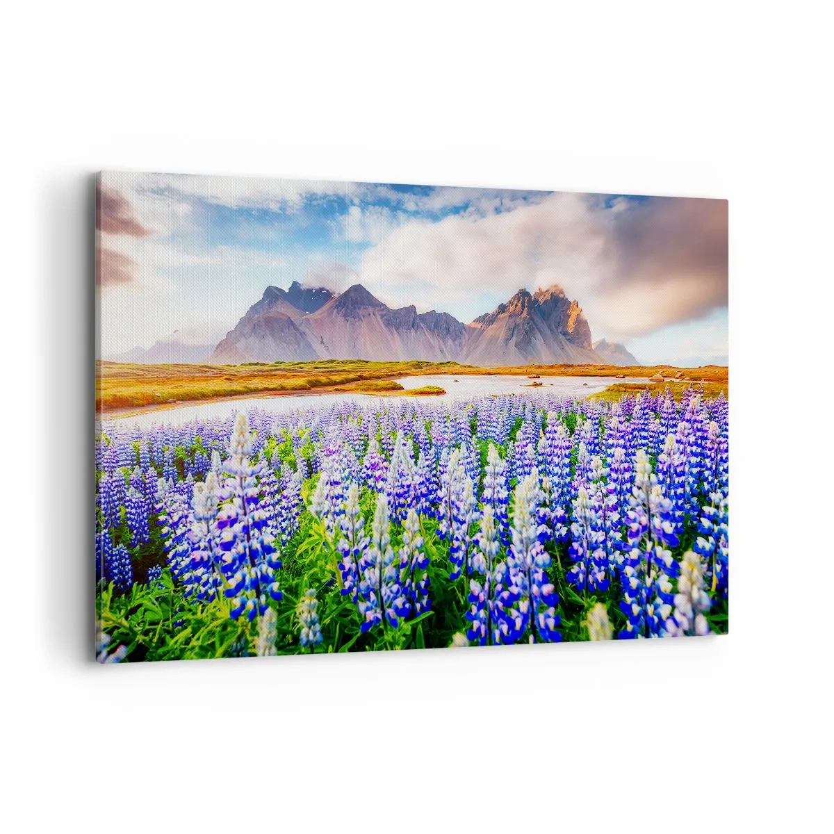 Obraz na płótnie - Kwiaty w górskim krajobrazie z malowniczym niebem - 120x80cm - Siła i surowość obok łagodności - Nowoczesna dekoracja ścienna do salonu, kuchni i sypialni ARTTOR