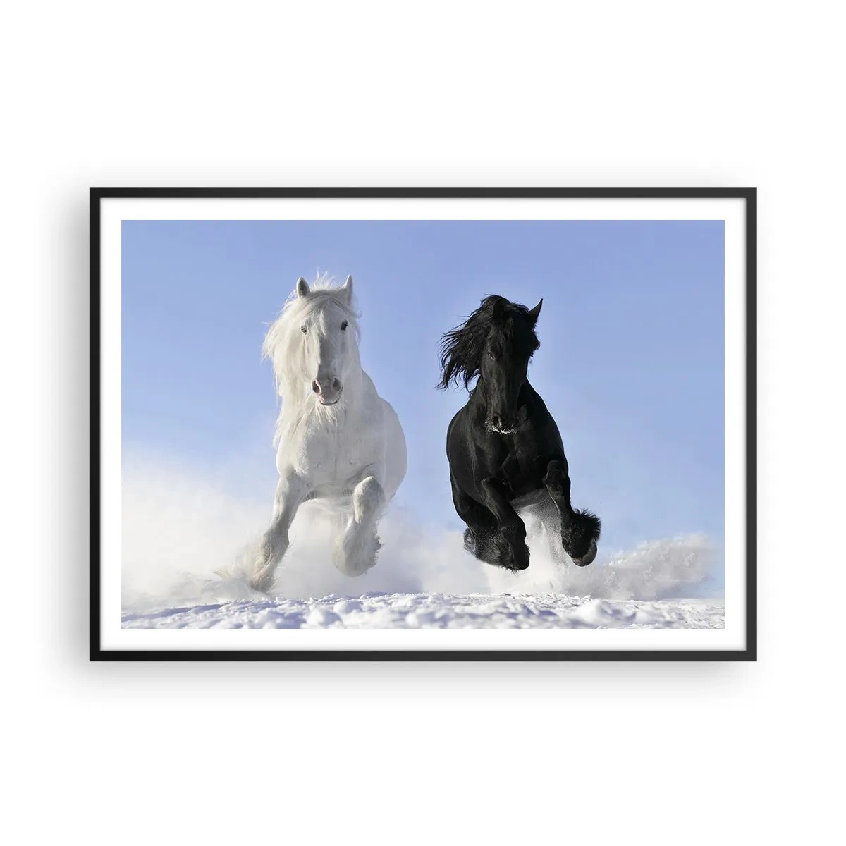 Plakat w czarnej ramie - Biały i czarny koń galopujące po śniegu - 100x70cm - Czarno-biały galop - Nowoczesna dekoracja ścienna do salonu i sypialni ARTTOR