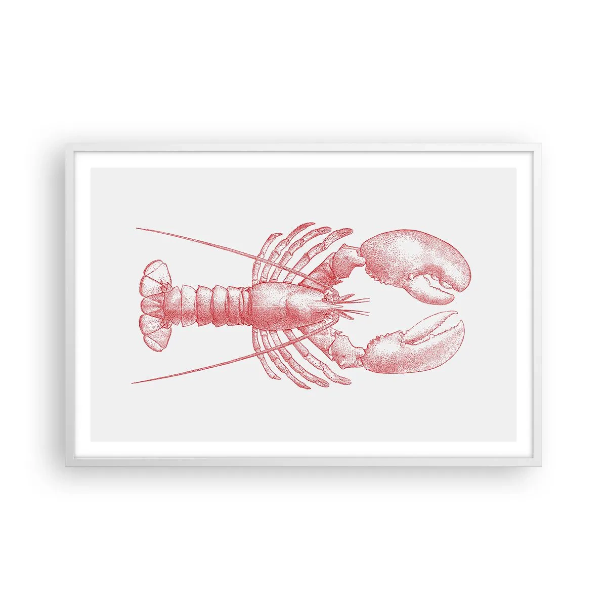 Plakat w białej ramie - Homar godny Homera - 91x61 cm